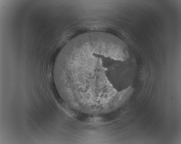 X0000080730695200701121911