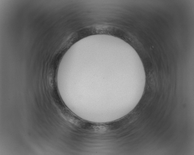 X0000080730698200701121911