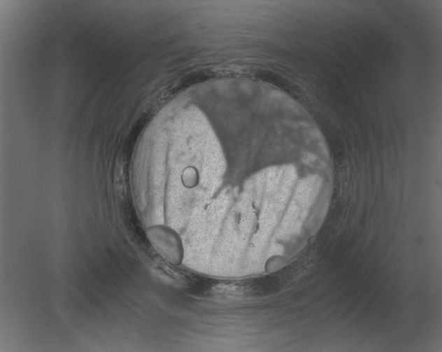 X0000080730699200701121911