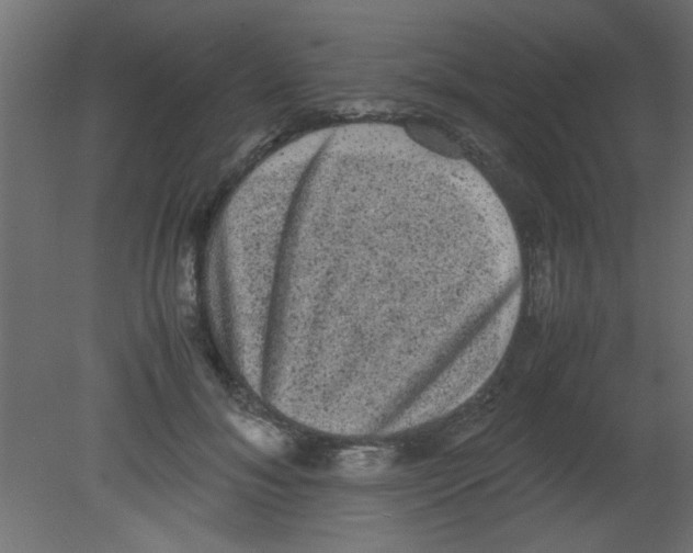 X0000080730700200701121911