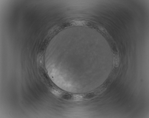 X0000080730701200701121911