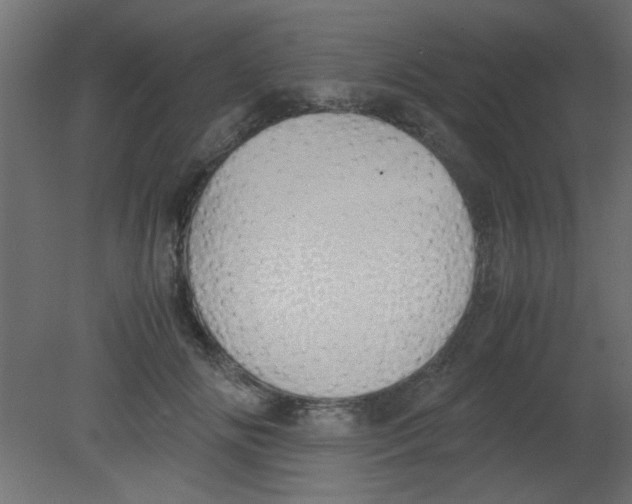 X0000080730702200701121911