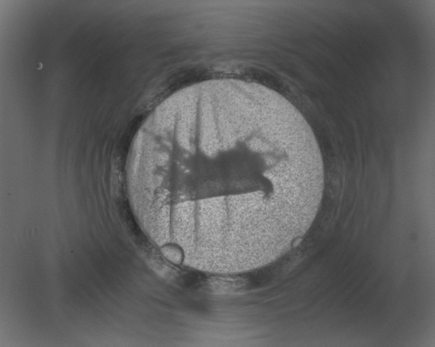 X0000080730707200701121910