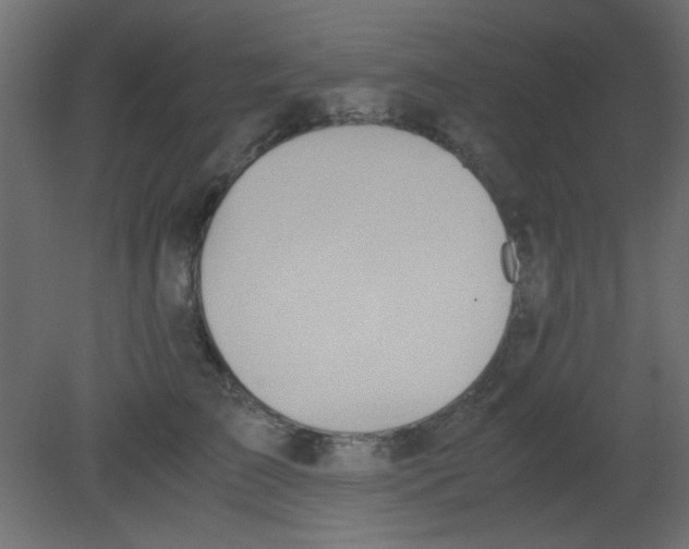 X0000080730709200701121910