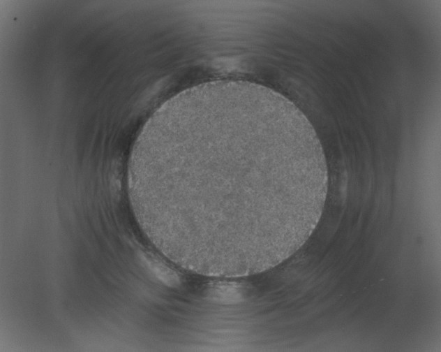 X0000080730710200701121910