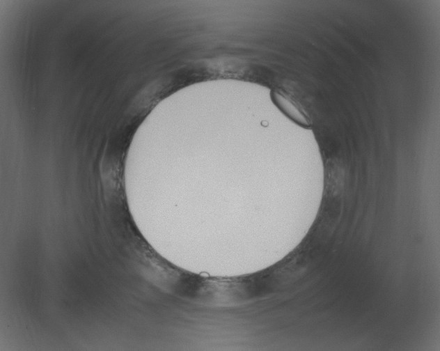 X0000080730713200701121910