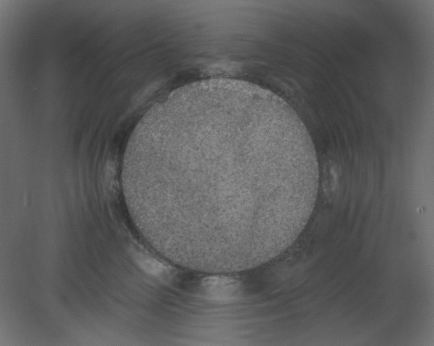 X0000080730714200701121910