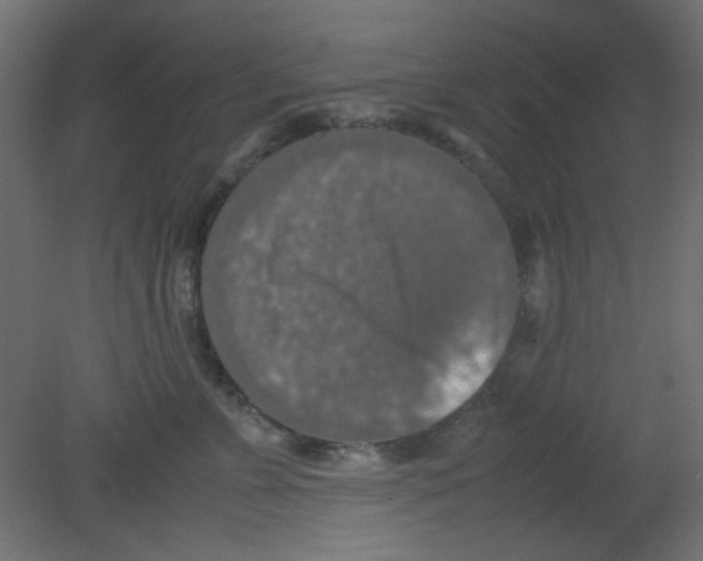 X0000080730715200701121910