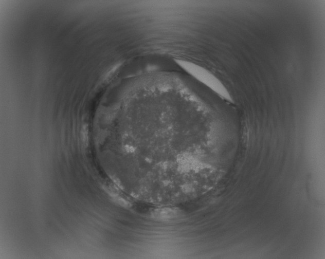 X0000080730716200701121910