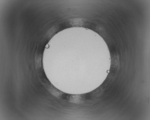 X0000080730717200701121910