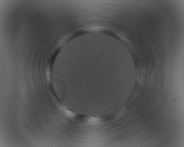 X0000080730718200701121910