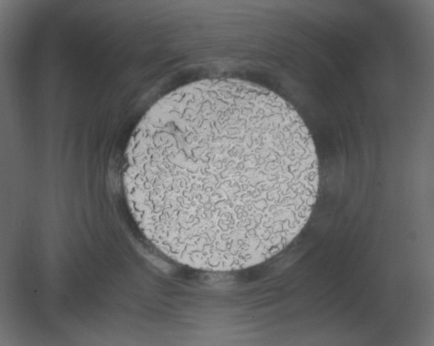 X0000080730719200701121910