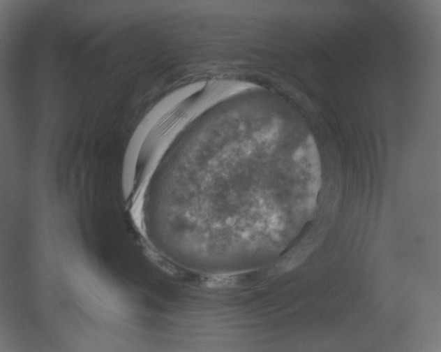 X0000080730720200701121910