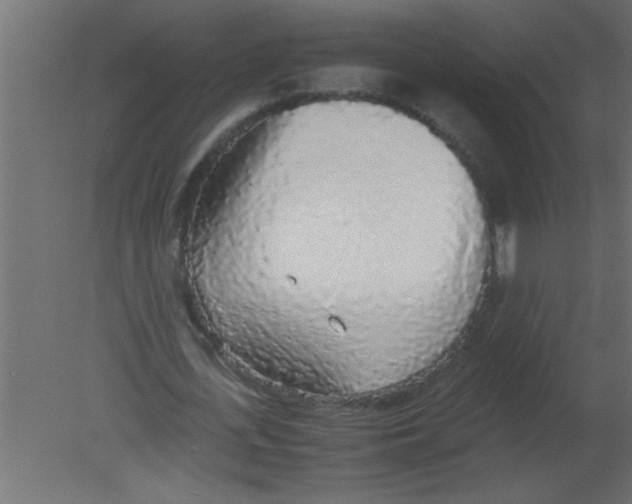 X0000080730723200701121909