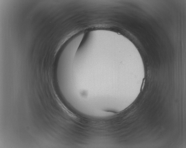 X0000080730725200701121910