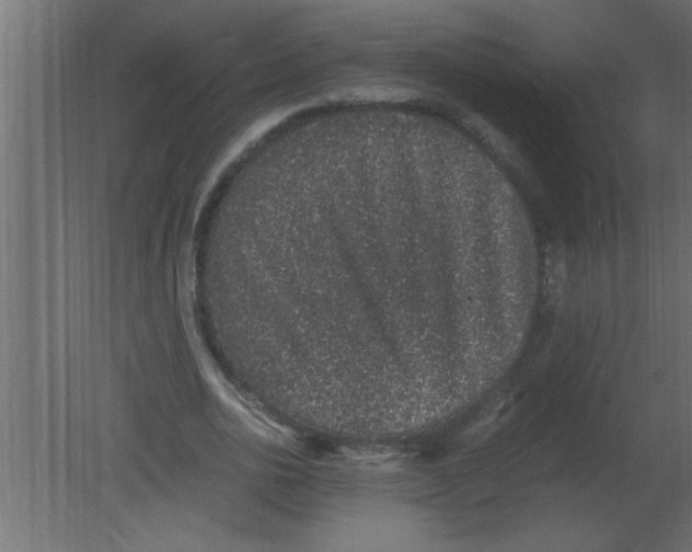 X0000080730726200701121910