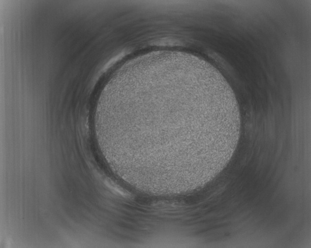 X0000080730727200701121910