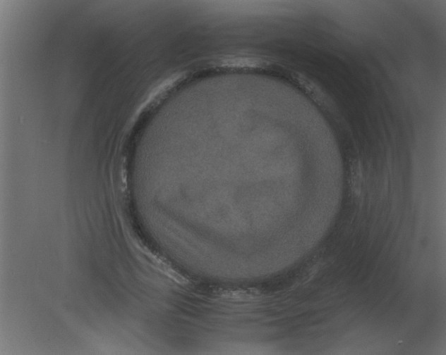 X0000080730731200701121910