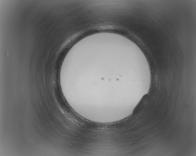 X0000080730732200701121910