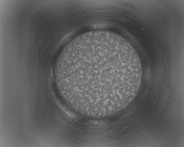 X0000080730733200701121910