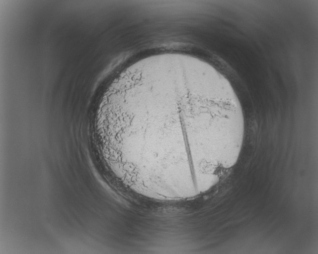 X0000080730734200701121910