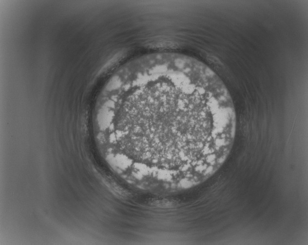 X0000080730735200701121910