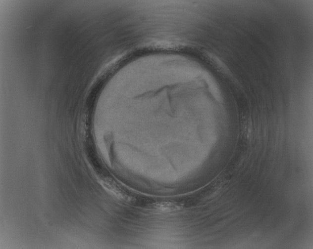 X0000080730736200701121910