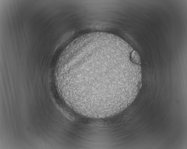 X0000080730738200701121910