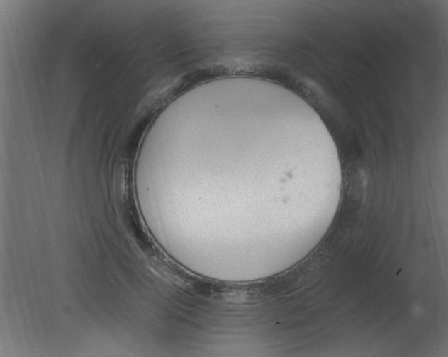 X0000080730740200701121910