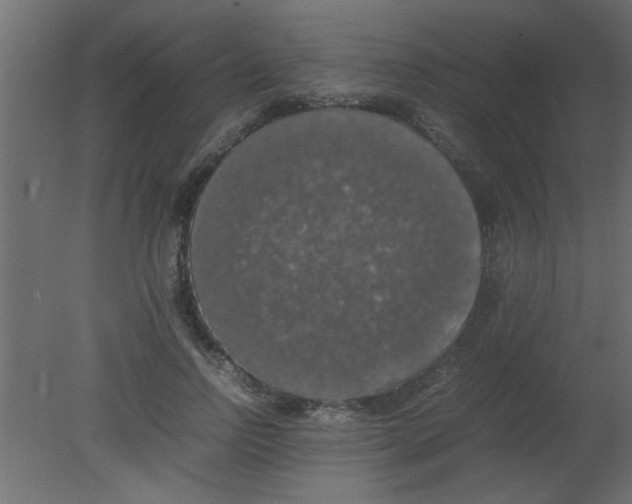 X0000080730742200701121910