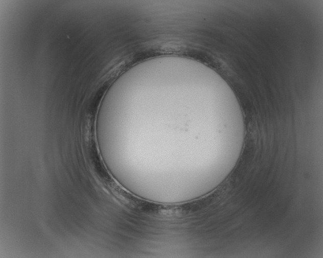 X0000080730744200701121910