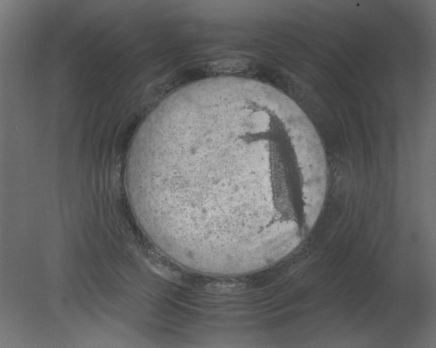 X0000080730745200701121910