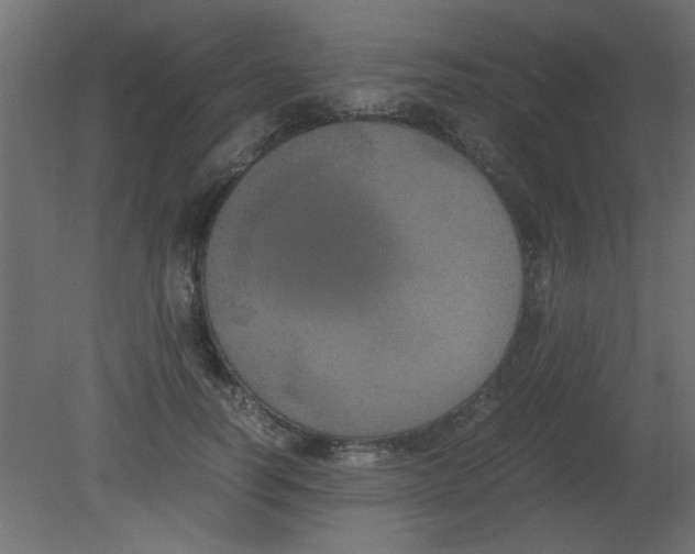 X0000080730746200701121910