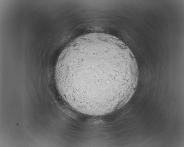 X0000080730747200701121910