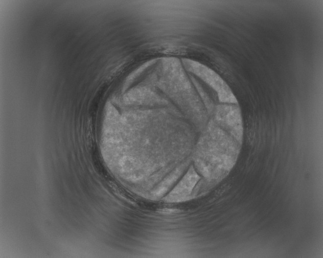 X0000080730748200701121910