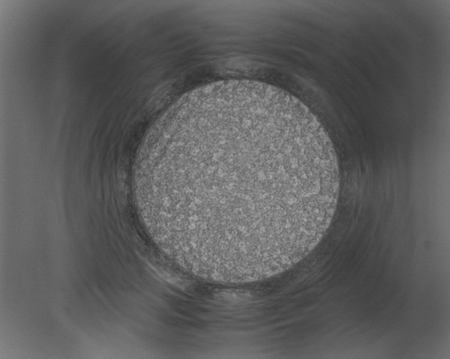 X0000080730749200701121910