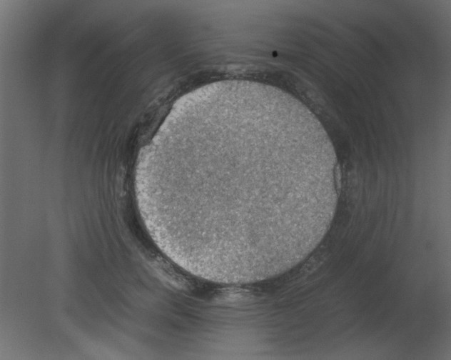 X0000080730750200701121910