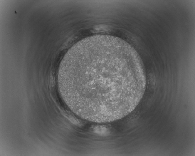 X0000080730751200701121910