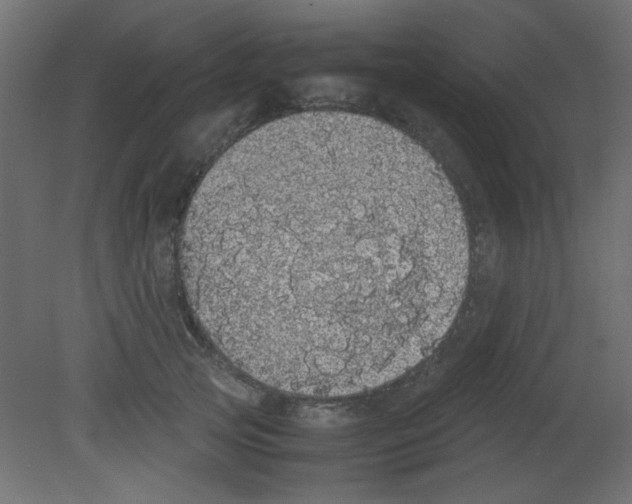 X0000080730753200701121910