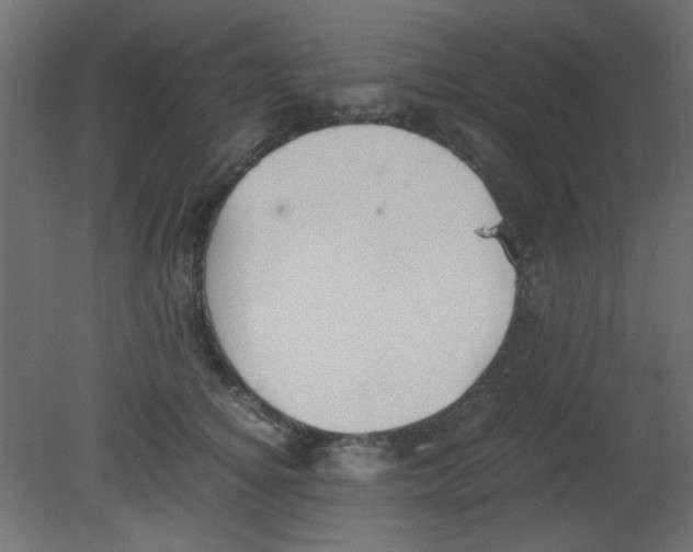 X0000080730756200701121910