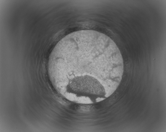 X0000080730757200701121910