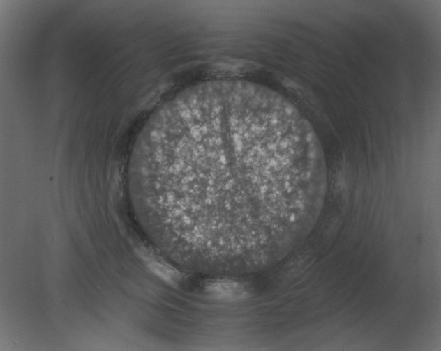 X0000080730759200701121910