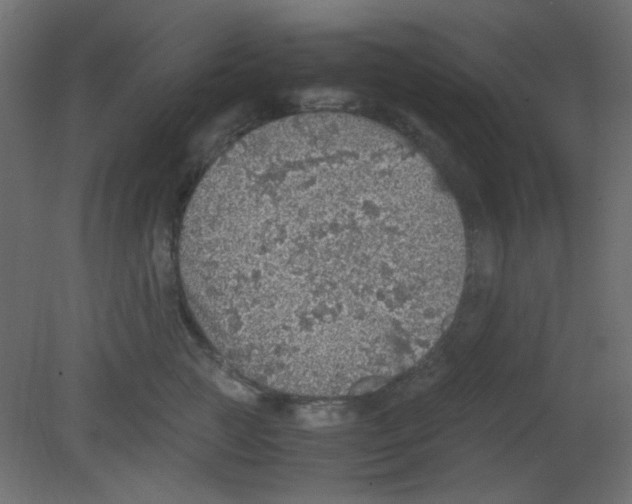 X0000080730761200701121910