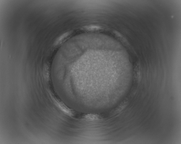 X0000080730762200701121910