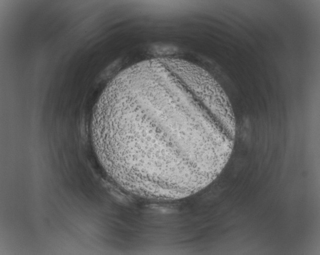 X0000080730763200701121910