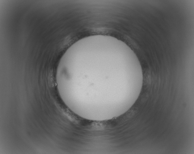 X0000080730764200701121910