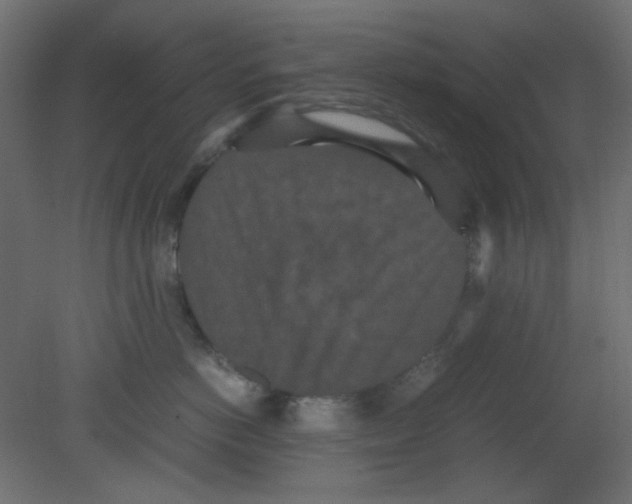 X0000080730766200701121910