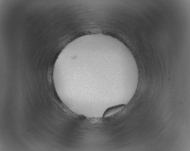 X0000080730768200701121910