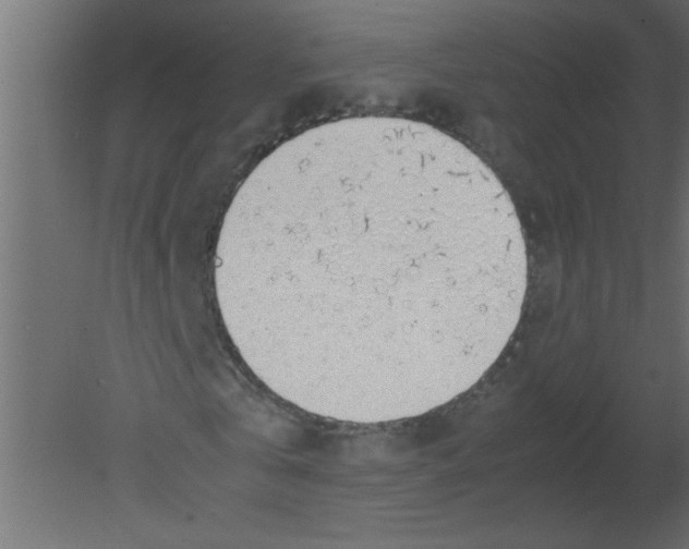 X0000080730769200701121909