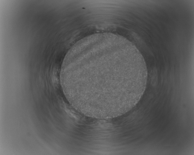 X0000080730770200701121909